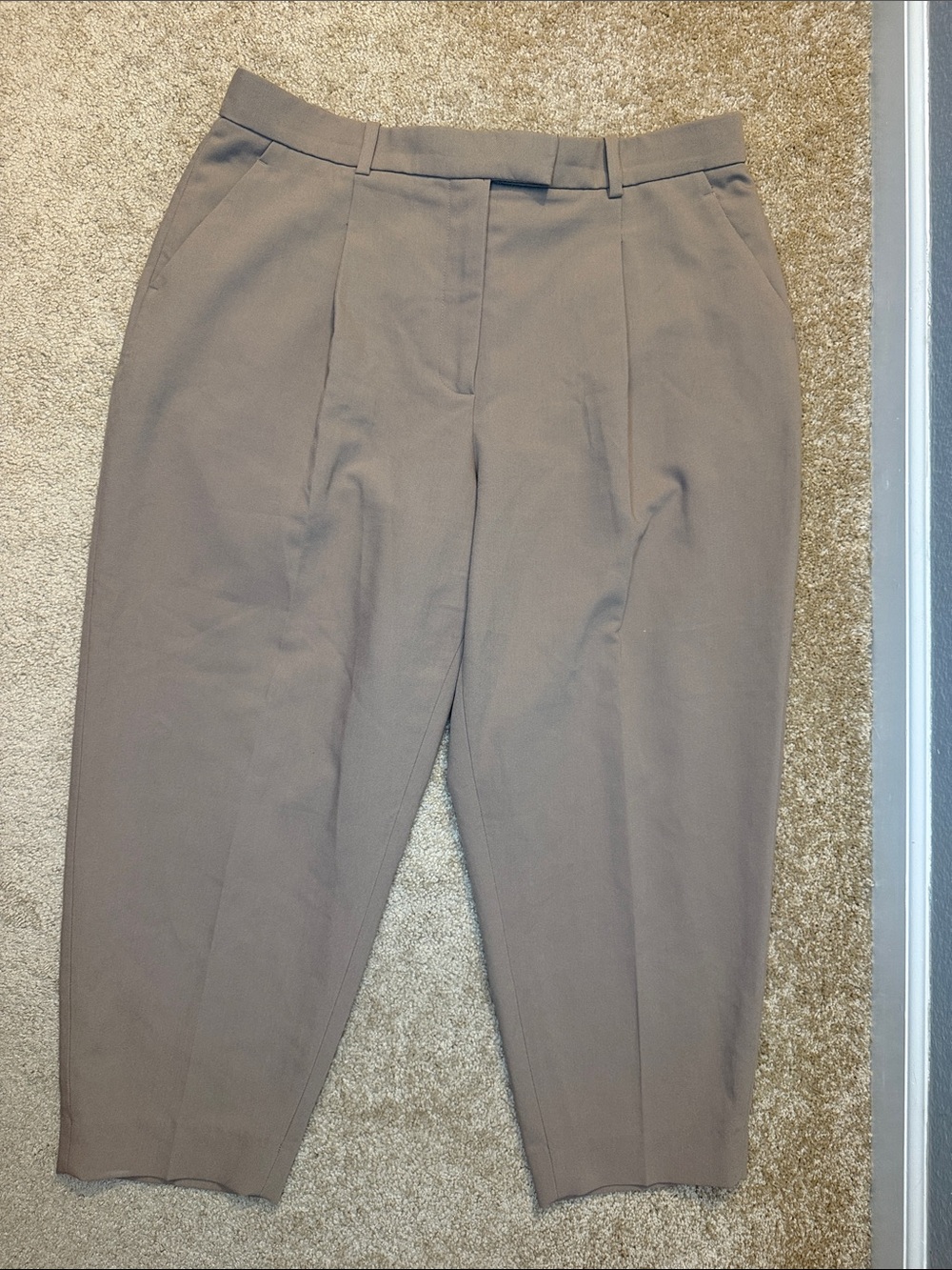 Abercrombie & Fitch Curve Love Quinn Tailored Straight Pant Pleated Trousers 33